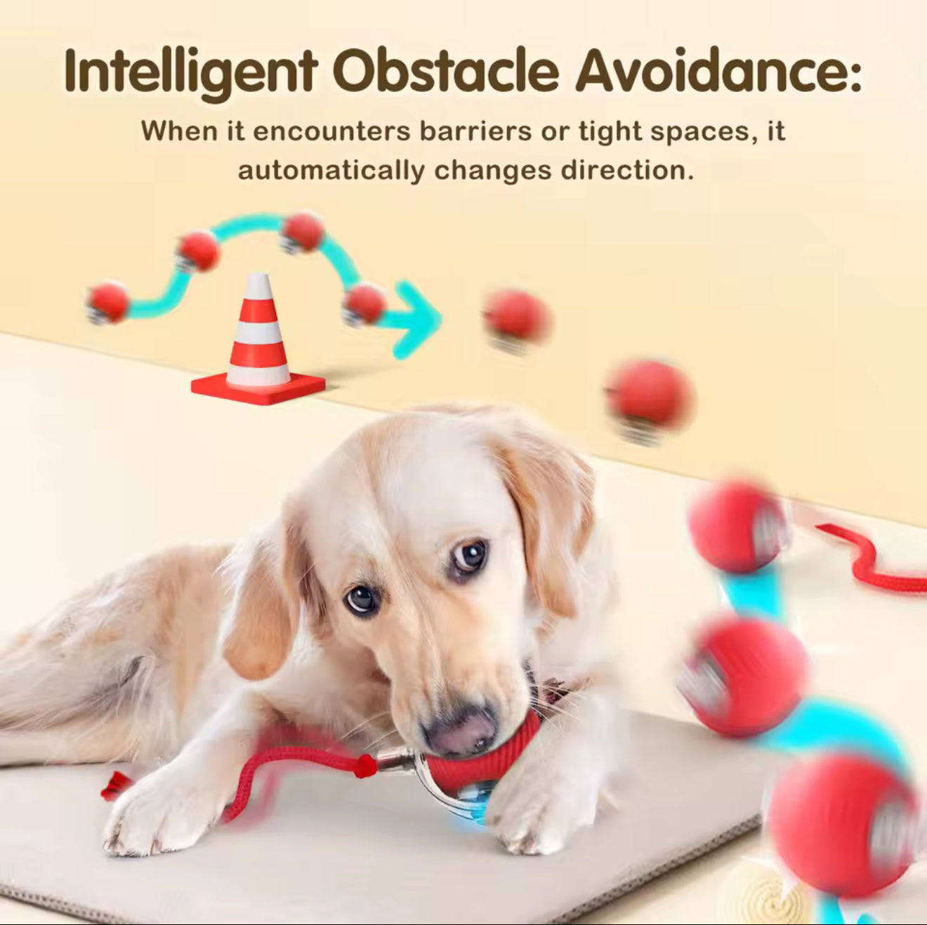 PawRoller - WelfarePet®