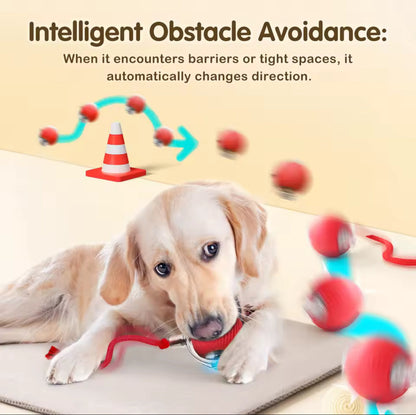 PawRoller - WelfarePet®