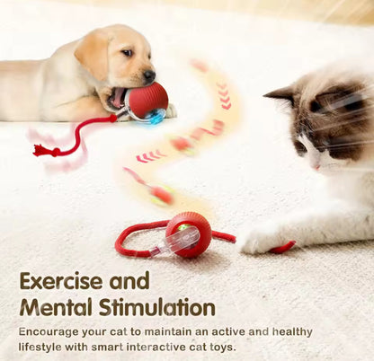 PawRoller - WelfarePet®